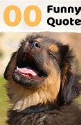 Image result for fun wise quotations