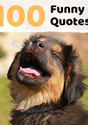 Image result for Random Funny Quotes