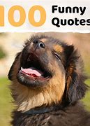 Image result for Sayings Short and Funny About Stuff
