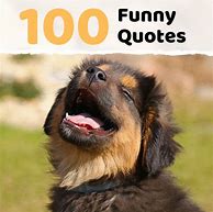 Image result for Funny Quotes About Words