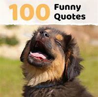 Image result for Funny Useful Quotes