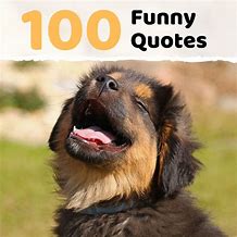 Image result for Funny Quotes About Fun