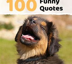 Image result for Funny Sayings with Quotes