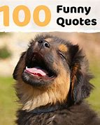 Image result for Funny Wise Words