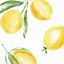 Image result for Lemon Wallpaper