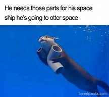 Image result for Space Memes Morning