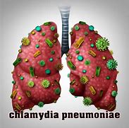 Image result for chlamydia_pneumoniae