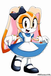 Image result for Sonic Cream Costume