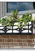 Image result for Wrought Iron Window Box