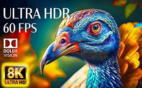 Image result for 8K Ultra HD 60Fps HDR