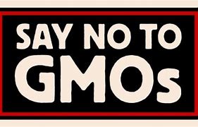 Image result for GMO Farm Animals
