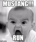 Image result for Funny Ford Mustang Memes