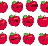 Image result for Trees of Oranges and Apple