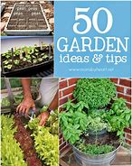 Image result for Gardening Ideas