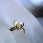 Image result for 10K Gold Pearl Ring
