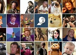 Image result for Which Meme Are You