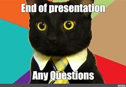 Image result for Any Questions Meme Cat