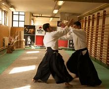Image result for Jujutsu vs Aikido vs Judo