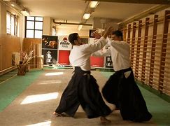 Image result for Aikido Martial Arts