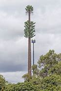 Image result for Monopine Cell Tower
