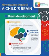 Image result for Childhood Trauma Brain