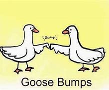 Image result for Goose Funny Image