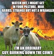 Image result for Real Barn Burner Meme