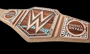 Image result for Daniel Bryan WWE Championship Belt