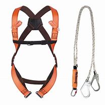 Image result for Scaffolding Harness