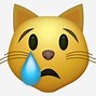 Image result for Crying Cat Aesthetic