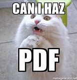 Image result for Cat Meme PDF