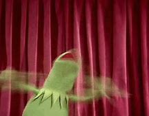 Image result for Kermit Excited