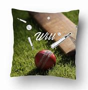 Image result for Cricket Club Seat Cushions