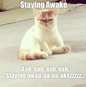 Image result for Can't Stay Awake Meme