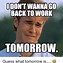 Image result for Tomorrow Is a Holiday Work Meme