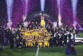 Image result for Tigres Campeones