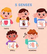 Image result for Sense of Touch Animation