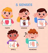 Image result for Theme Five Senses