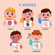 Image result for Five Senses Clip Art for Kids