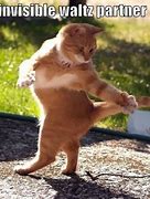 Image result for Image ID for Invisible Cat