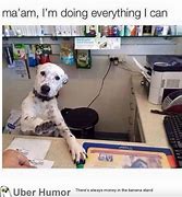 Image result for Dogs in Charge Meme