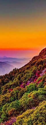 Image result for Beautiful Nature iPhone Wallpaper
