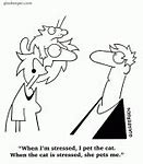 Image result for Stressed Cat Cartoon