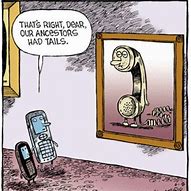Image result for House Phone Humorous