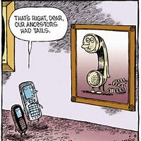 Image result for Walking Cell Phone Funnies