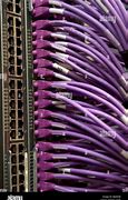 Image result for Network Wiring