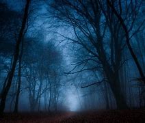 Image result for Dark Tree Wallpaper Forest