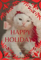 Image result for Happy Holidays Cat Meme