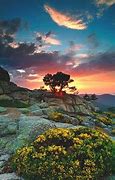 Image result for Nature Touch Screen Wallpaper