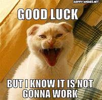 Image result for Sarcastic Good Luck